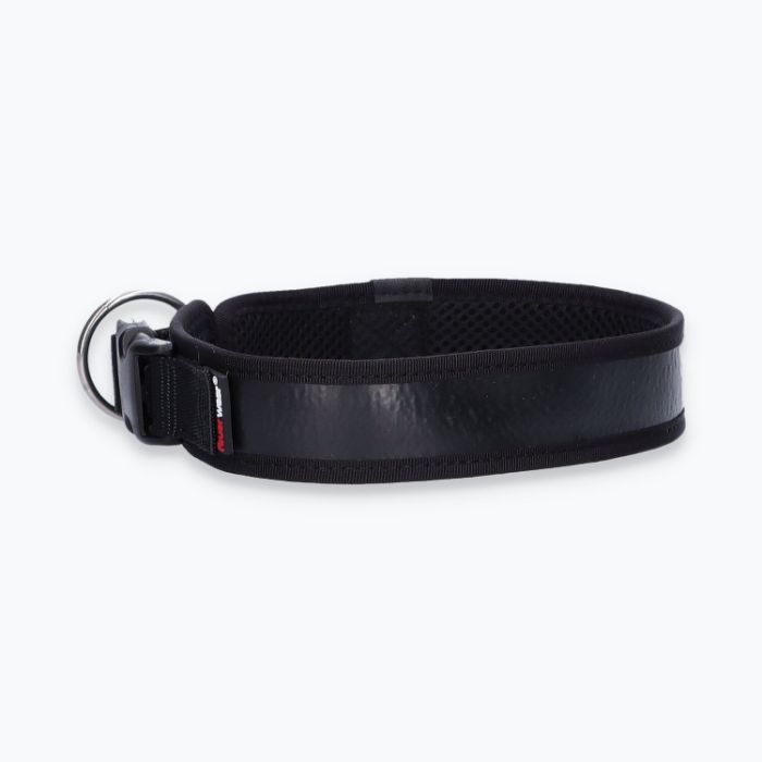 Hunde-Halsband Timmy XL 50-55 cm - ht50400039