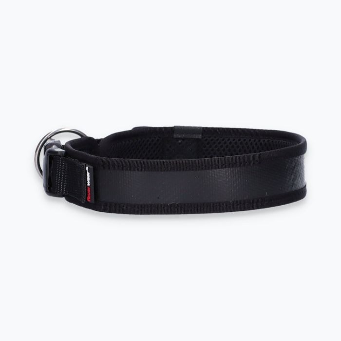 Hunde-Halsband Timmy XL 50-55 cm - ht50400041