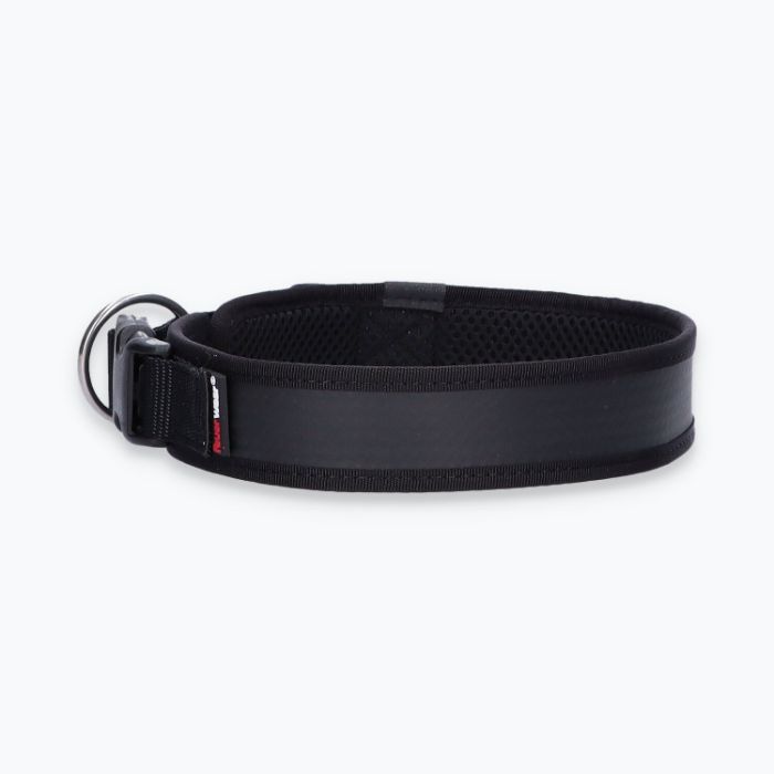 Hunde-Halsband Timmy XL 50-55 cm - ht50400047