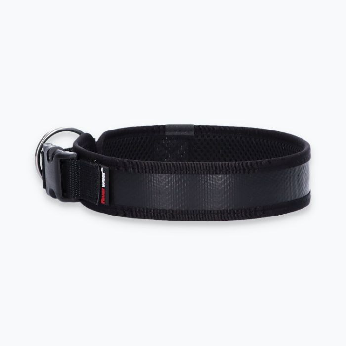 Hunde-Halsband Timmy XL 50-55 cm - ht50400049