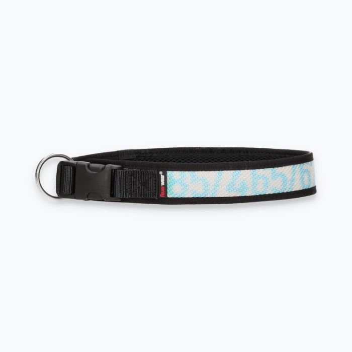Hunde-Halsband Timmy XXL 55-60 cm - ht55200033