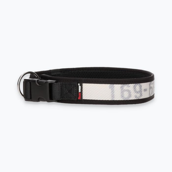 Hunde-Halsband Timmy XXL 55-60 cm - ht55200040