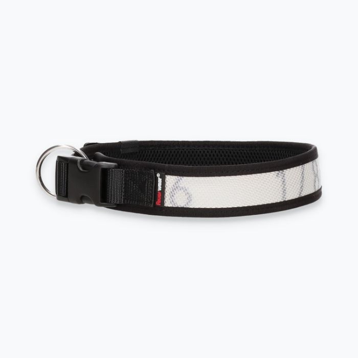 Hunde-Halsband Timmy XXL 55-60 cm - ht55200047