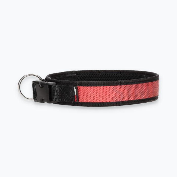 Hunde-Halsband Timmy XXL 55-60 cm - ht55300042