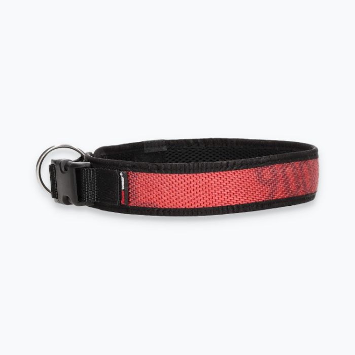 Hunde-Halsband Timmy XXL 55-60 cm - ht55300046