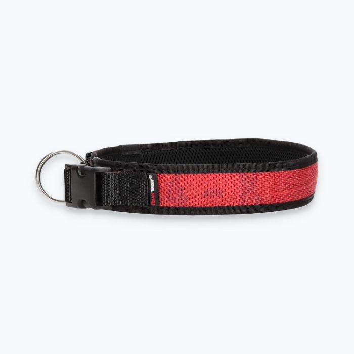 Hunde-Halsband Timmy XXL 55-60 cm - ht55300050