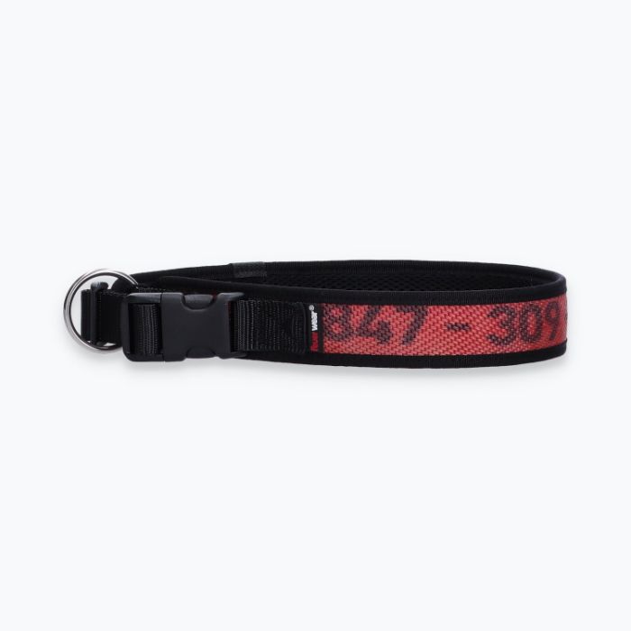 Hunde-Halsband Timmy XXL 55-60 cm - ht55300056