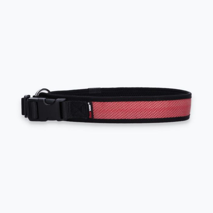 Hunde-Halsband Timmy XXL 55-60 cm - ht55300057