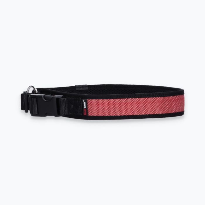 Hunde-Halsband Timmy XXL 55-60 cm - ht55300061